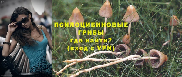 герыч Алексин