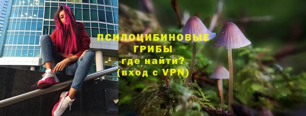герыч Алексин