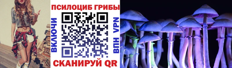 Галлюциногенные грибы Psilocybe  даркнет как зайти  Керчь  где купить наркоту 